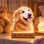 PetGlow nattlampa med hundfoto, tänd på kvällen